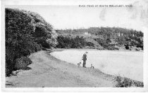 Duck Pond at South Wellfleet, Mass.
