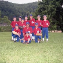 1995 Cubs