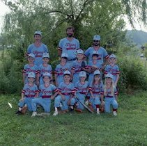 Tigers - 1987 Summer BYF