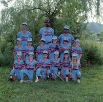 Tigers - 1987 Summer BYF