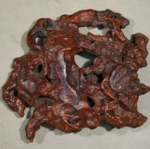 Top side of the burl piece detached from the sculpture