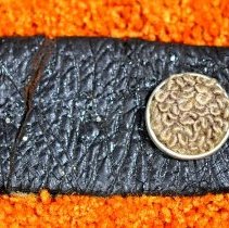 CANADA RIFLES Belt & Whistle