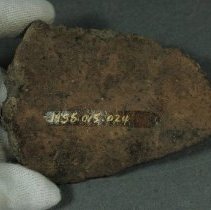 Sherd, interior view