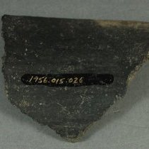 Sherd, interior view
