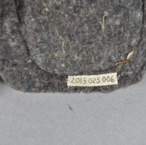 Detail- accession number