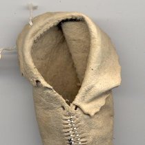 Top view of the Baby Moccasin (taken c. 2005)