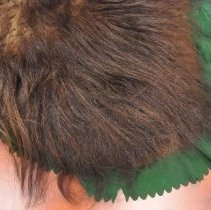 Musk Ox Hair Cutter Robe