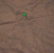 Musk Ox Hair Cutter Robe