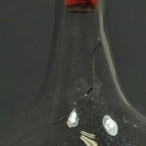 Insect Trap Brought From Scotland