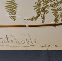 Detail of Dimensions