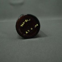 Schwan's Export Lager Bottle