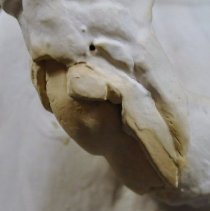 Close up of damage on the left side view