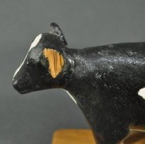 Detail of damage to proper left ear