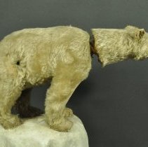 Detail of body, proper right side