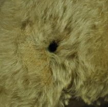 Key hold on proper right side