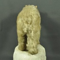 Detail of back (haunches)