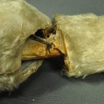 Detail of neck components, proper right side