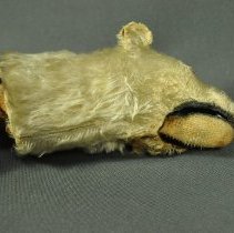 Detail of jaw, proper right side