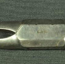 Detail of head / jaws