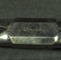 Detail of head / jaws