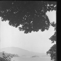 Negative, Sheet Film