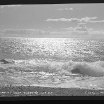 Negative, Sheet Film