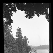 Negative, Sheet Film