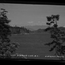 Negative, Sheet Film