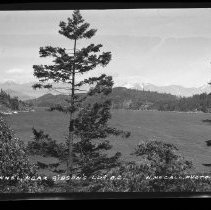 Negative, Sheet Film