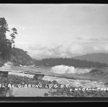 Negative, Sheet Film