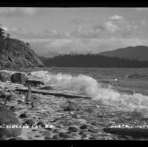 Negative, Sheet Film