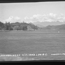 Negative, Sheet Film