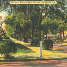 Beautiful Washington Avenue, Savannah, Ga.