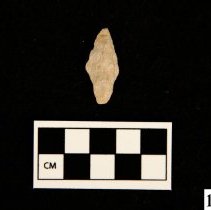 109/8255 Point, Projectile