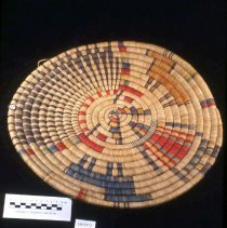 Tray Form