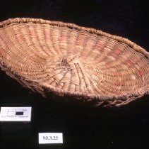 Tray Form