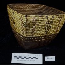 Burden/gathering basket
