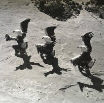 05.25.18_slightly cropped