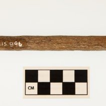 Bone, Fragment