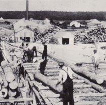 Loading Logs