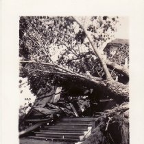 Cedar Tornado
