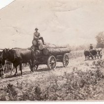Logging Teams