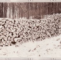 Wood Pile