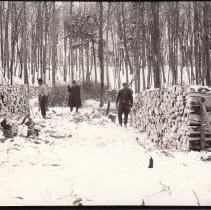 Peshawbestown Woodcutters