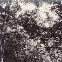 Drive near Gregory's Resort