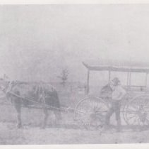 Horse Drawn Mail Stage Wagon
