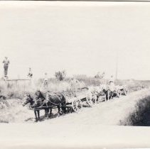 Team of Horses with a Wagon