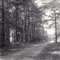 Leelanau County Road