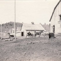 Crescent Logging Camp
