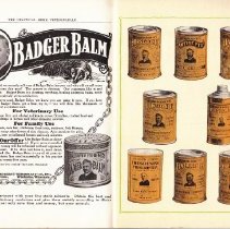 The Practical Home Veterinarian